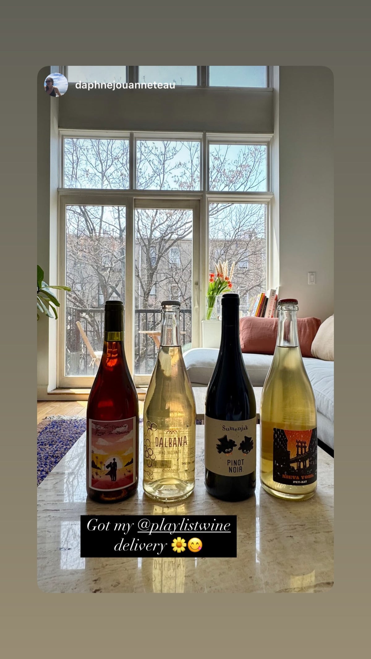 Member Instagram story: four Playlist wines lined up by a window after delivery