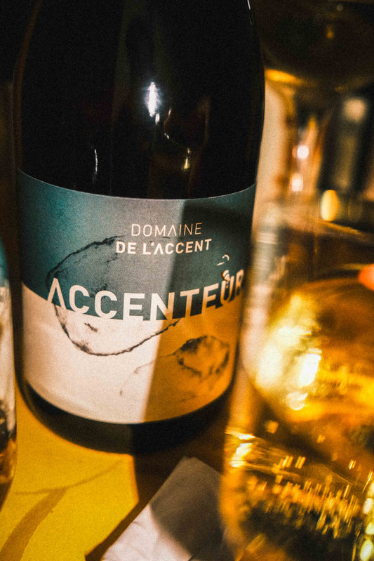 Accenteur Mont Baudile Blanc