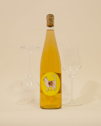 Skin Contact Pinot Gris