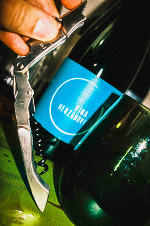 Vina Herzanovi Pét-Nat Chardonnay Grüner Veltliner (Green Label) 2022, pét-nat from Moravia, Czechia